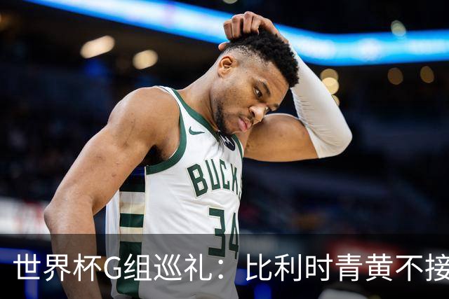 世界杯G组巡礼：比利时青黄不接 伊朗赴美参赛风波不断